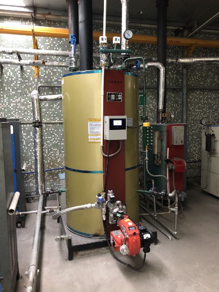 洗滌廠1臺500kg燃氣爐工程案例